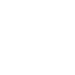 SALEFORCE_BLANCO